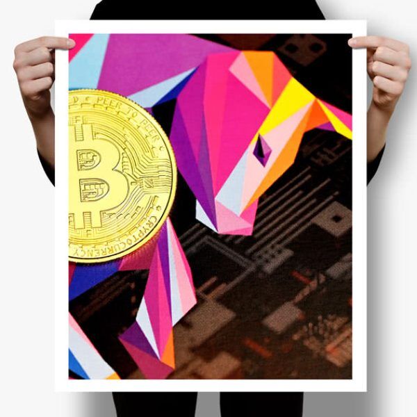 Crypto Guy