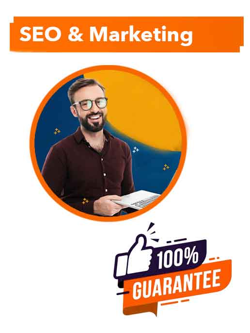 support-seo-dan-digital-marketing